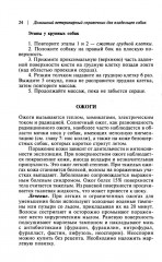 Домашний ветеринарный справочник для владельцев собак - Фото 12