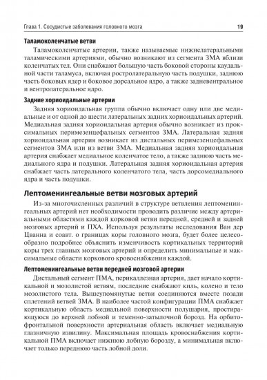 Private neurology. Частная неврология
