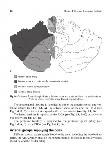 Private neurology. Частная неврология