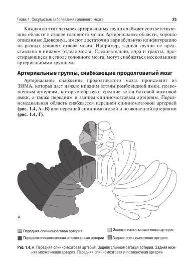 Private neurology. Частная неврология