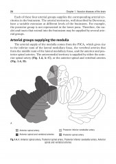 Private neurology. Частная неврология - Фото 4