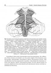 Private neurology. Частная неврология - Фото 6