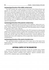 Private neurology. Частная неврология - Фото 8