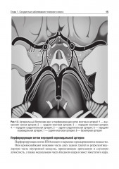 Private neurology. Частная неврология - Фото 13
