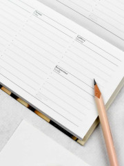 Еженедельник недатированный «Весёлые коты» - Фото 3