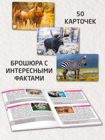Игра настольная «Мир животных»