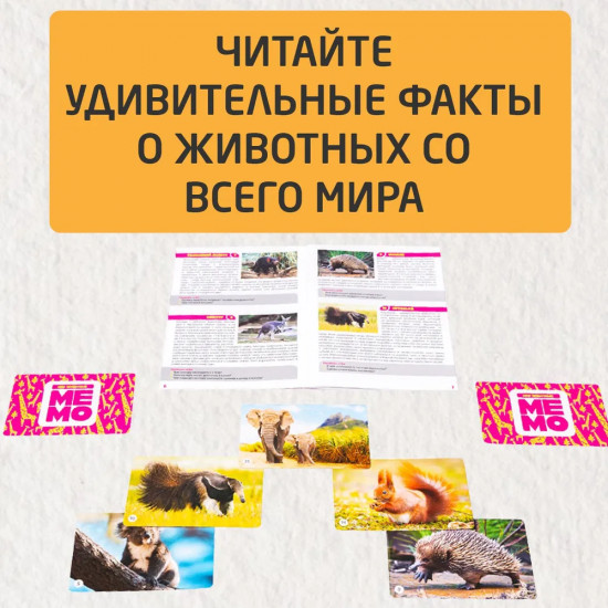 Игра настольная «Мир животных»