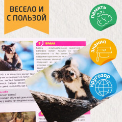 Игра настольная «Мир животных» - Фото 4