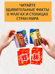 Игра настольная «Флаги и столицы» - Фото 3