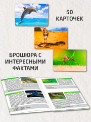 Игра настольная «Обитатели земли» - Фото 1