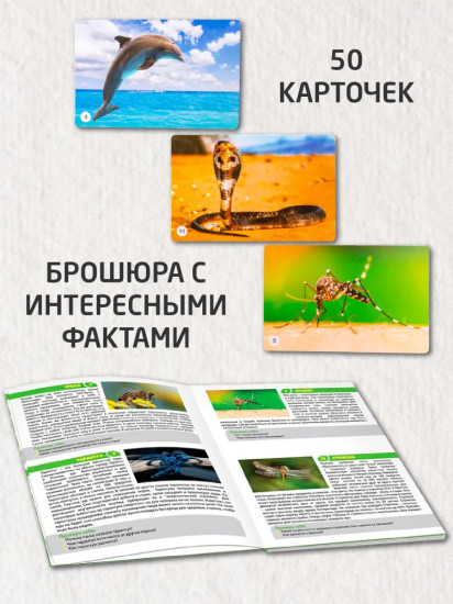 Игра настольная «Обитатели земли»