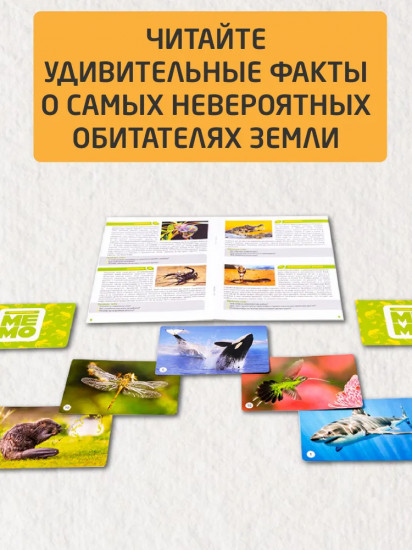 Игра настольная «Обитатели земли»
