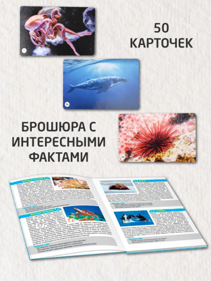 Игра настольная «Водный мир»
