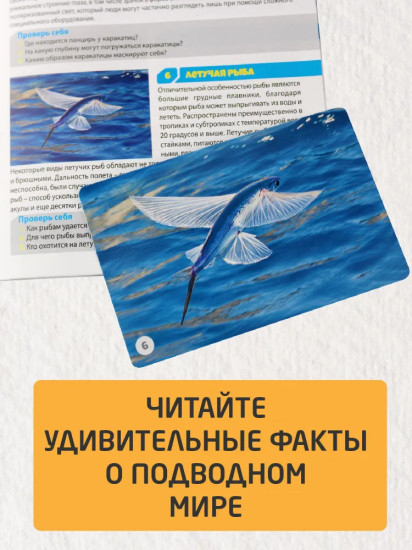 Игра настольная «Водный мир»