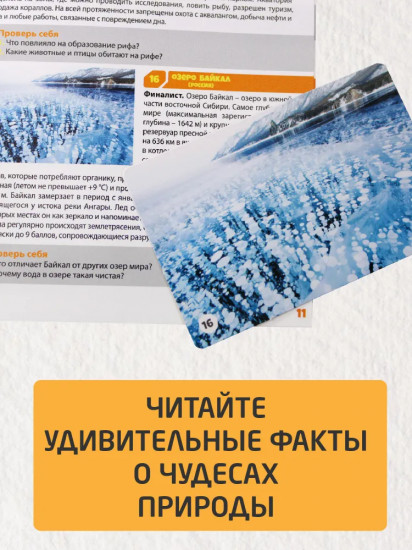 Игра настольная «Чудеса природы»