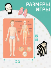 Игра магнитная «Анатомия» - Фото 4