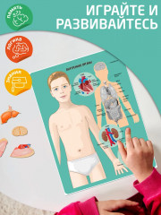 Игра магнитная «Анатомия» - Фото 5