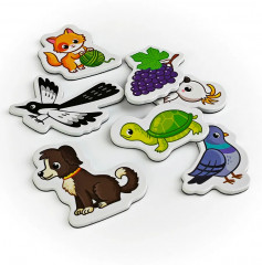 Игра настольная «Окружающий мир» - Фото 12