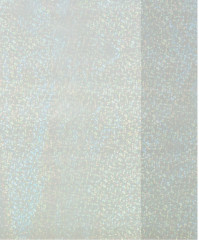 Комплект обложек для тетрадей и дневников с голограммой - Фото 3