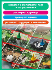 Игра настольная «Фотовикторина. Прогулка по лесу» - Фото 4