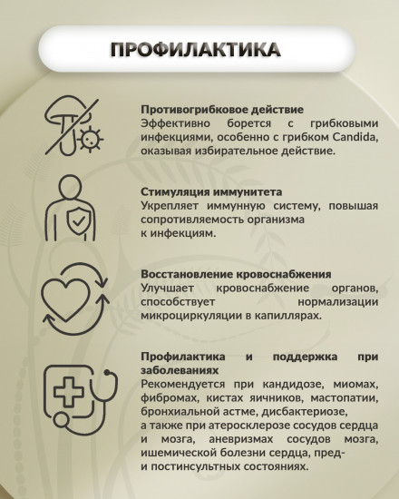Медовый бальзам «Фунго-апифит»