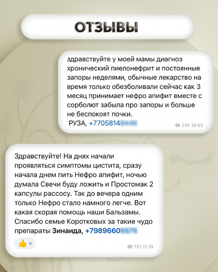 Медовый бальзам «Нефро-апифит»