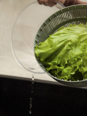 Сушилка для зелени «Press&Dry» - Фото 5