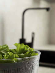 Сушилка для зелени «Press&Dry» - Фото 7