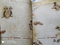 Ежедневник «Gravity Falls» - Фото 2