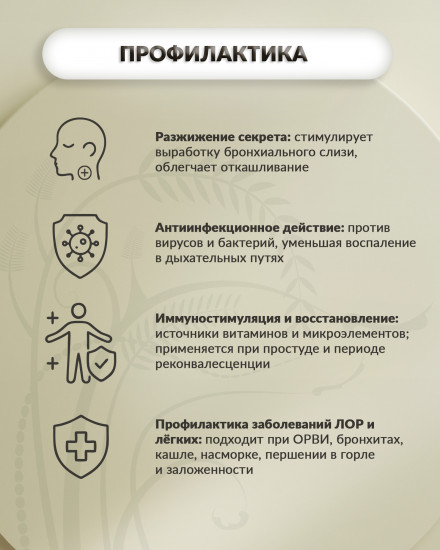 Фитотаблетки «Пармелипт»