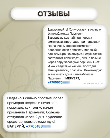 Фитотаблетки «Пармелипт»
