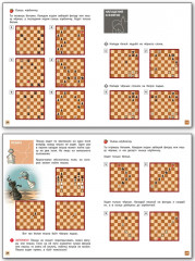 Шахматная школа. Первый год обучения - Фото 3