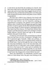 Rebecca - Фото 3