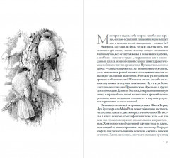 В верховьях «русской Амазонки». Хроники орнитологической экспедиции - Фото 1