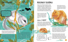 Вот так капибара. Необыкновенные грызуны и их родственники - Фото 3