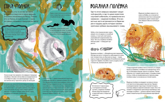 Вот так капибара. Необыкновенные грызуны и их родственники
