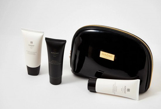 Набор уходовых средств для волос с косметичкой «Hydro Repair Hair Set»