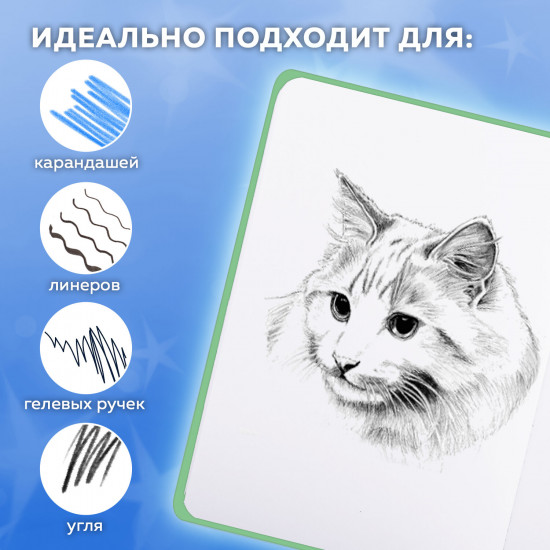 Скетчбук «Гусь «Че смотришь?»
