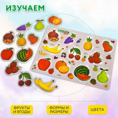 Рамка-вкладыш деревянная развивающая «Фрукты и ягоды» - Фото 3