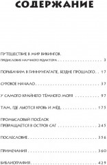 Чёрный викинг - Фото 1