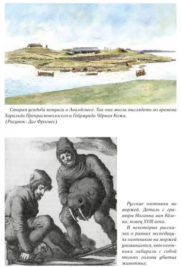 Чёрный викинг