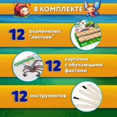 Набор для раскопок «Насекомые» - Фото 1