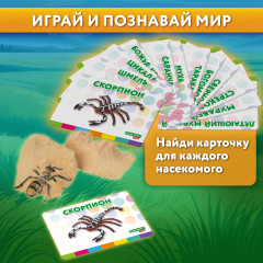 Набор для раскопок «Насекомые» - Фото 4