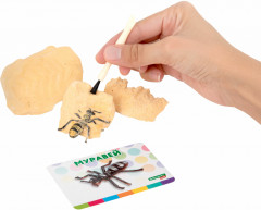 Набор для раскопок «Насекомые» - Фото 12