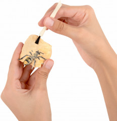 Набор для раскопок «Насекомые» - Фото 13