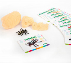 Набор для раскопок «Насекомые» - Фото 14