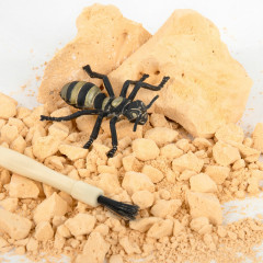 Набор для раскопок «Насекомые» - Фото 15