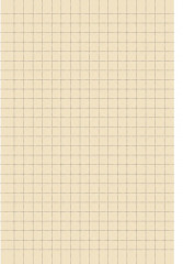 Записная книжка «Девушка в пруду» - Фото 1