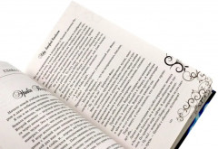 Лорд, который влюбился. Комплект из 2 книг - Фото 5