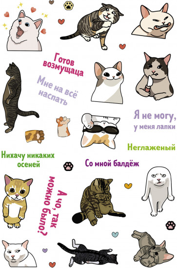 Залипательно мемные стикеры для любителей котиков